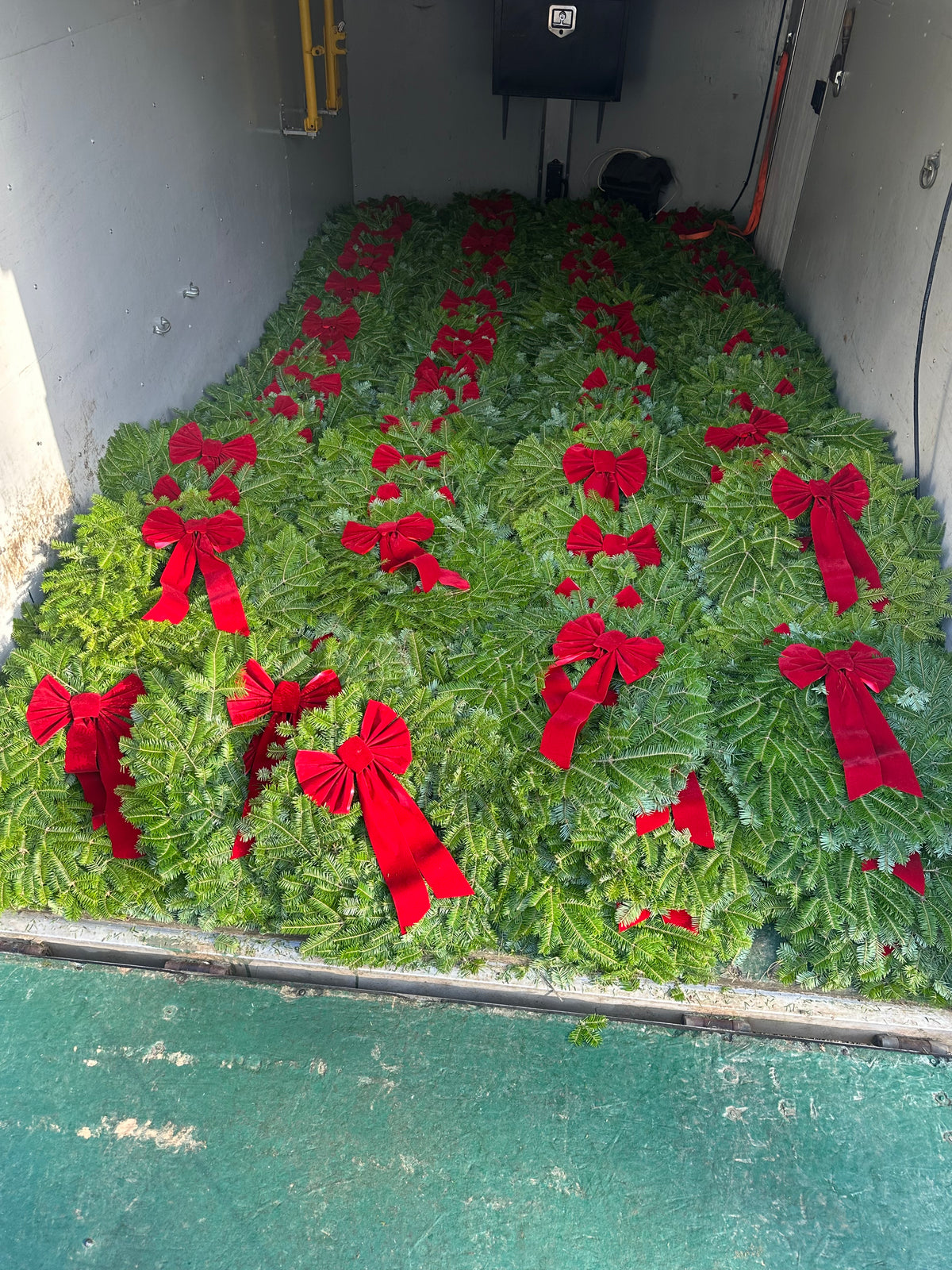 24" Balsam Fir Wreath in red