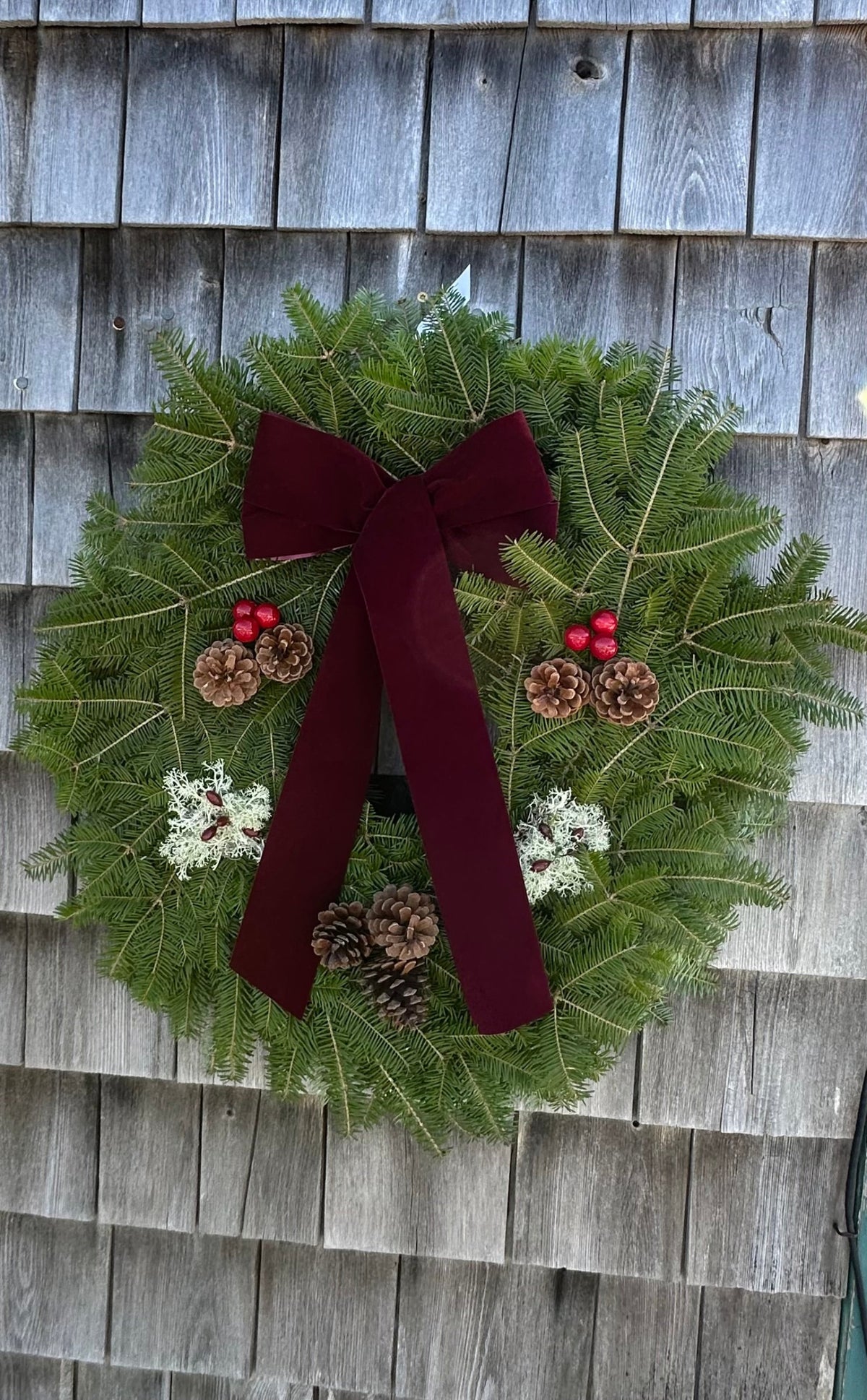 Balsam Fir Wreath in Burgundy
